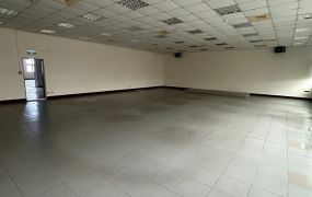 烏樹林氣派大廠房