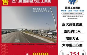 【售】近八德重劃區方正工業地LT01906