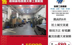 樹林稀有挑高天車工業廠房