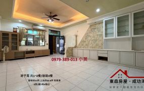 安定港子尾近南科透天