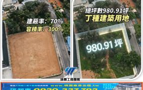 楊梅大面寬工業地48