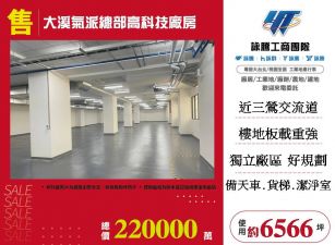 大溪氣派總部高科技廠房