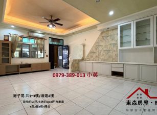 安定港子尾近南科透天