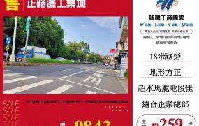 大溪正路邊工業地