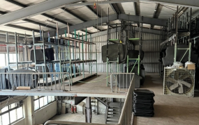 琪琪🐝推~近66台15線交流道觀音甲工合法廠房