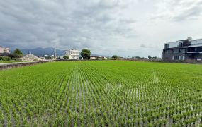 永慶許書豪★三星楓林老農夫的地