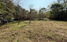 關西臨縣道平坦農地