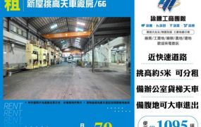新屋挑高天車廠房/66-155