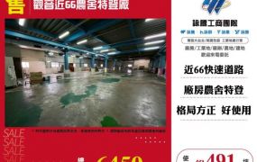 觀音近66農舍特登廠170