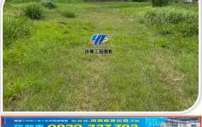 苗栗火車站旁超值工業地