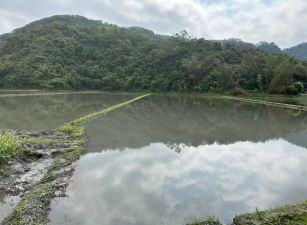 永慶許書豪★山邊多用途7695坪大坪數農地
