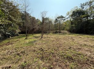 關西臨縣道平坦農地