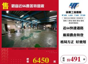 觀音近66農舍特登廠170