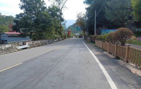 大溪財神廟旁農地