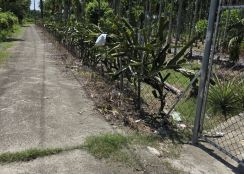 屏東萬巒鄉豬腳街光復路 農地(附合法農舍)
