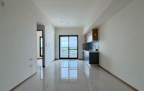 ☆新市全新高第璞璞大兩房+車位