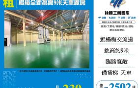 楊梅全新挑高9米天車廠房
