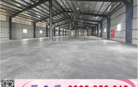 林口/挑高腹地/倉庫廠房/工業地廠房買賣租賃