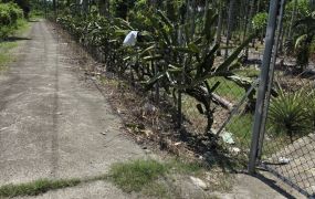 屏東萬巒鄉豬腳街光復路 農地(附合法農舍)