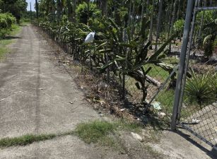 屏東萬巒鄉豬腳街光復路 農地(附合法農舍)