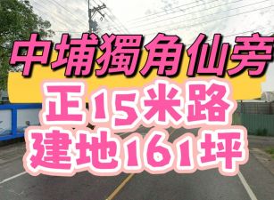 中埔獨角仙旁建地