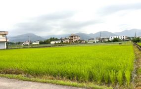 永慶許書豪★三星方正漂亮農地(秒殺案件)