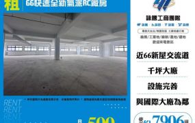 66快速全新氣派RC廠房155