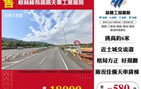 樹林稀有挑高天車工業廠房145