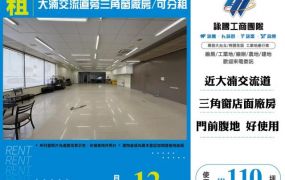 大湳交流道旁三角窗廠房/可分租-156