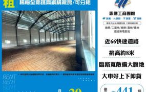 楊梅全新挑高鋼構廠房/可分租-155