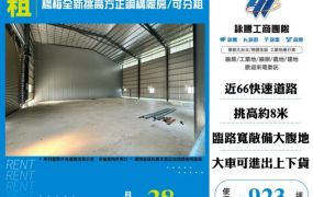 楊梅全新挑高方正鋼構廠房/可分租-155