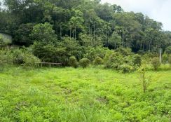 北埔休閒農地