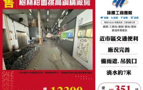 樹林柑園挑高鋼構廠房145