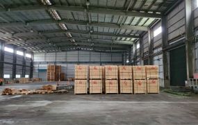 觀音工業區內可廠登納排挑高鋼構廠