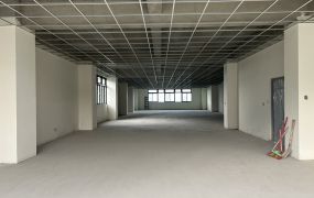 琪琪🐝推~林口交流道旁全新廠房