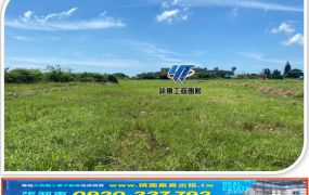 崙坪全新工業挑高廠房