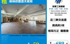 樹林柑園透天廠房146