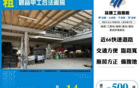 觀音甲工合法廠房156