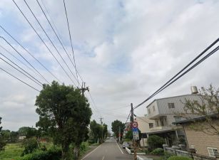 山東國小漂亮農保田