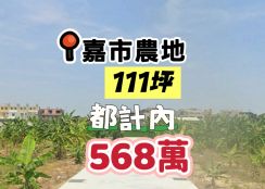 嘉市港坪公園都計內農地