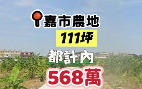嘉市港坪公園都計內農地