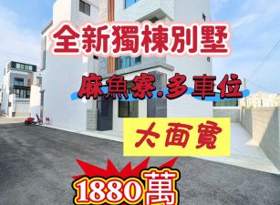 麻魚寮全新多車位獨棟別墅