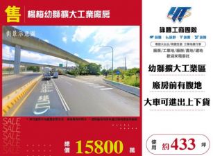 楊梅幼獅擴大工業廠房165