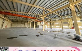 楊梅/全新鋼構/挑高廠房工業地廠房買賣租賃