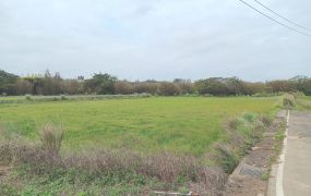 觀音育仁國小方正農地