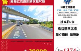 楊梅交流道新穎收租RC廠172