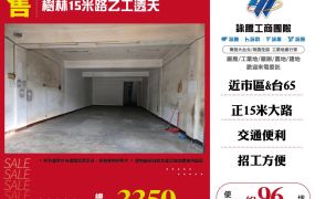 樹林15米路乙工透天103
