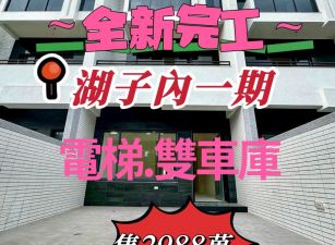 嘉市湖子內ㄧ期~全新完工~電梯雙車別墅