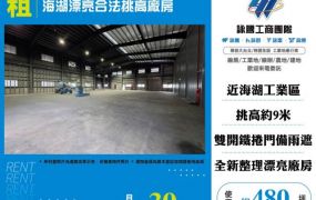 海湖漂亮合法挑高廠房157