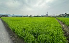 新關路角地方正美田